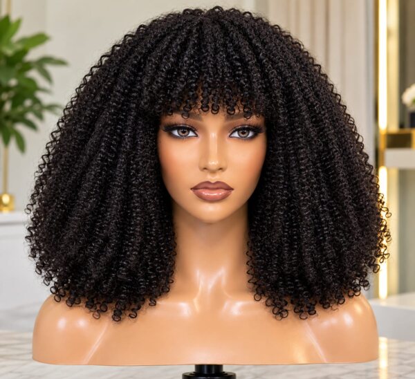 Afro Kinky Curly Wig with Bangs